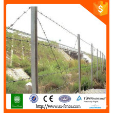 Alambre de púas / Electric Galvanizado y alambre de púas de PVC / alambre de púas para salvaguardar